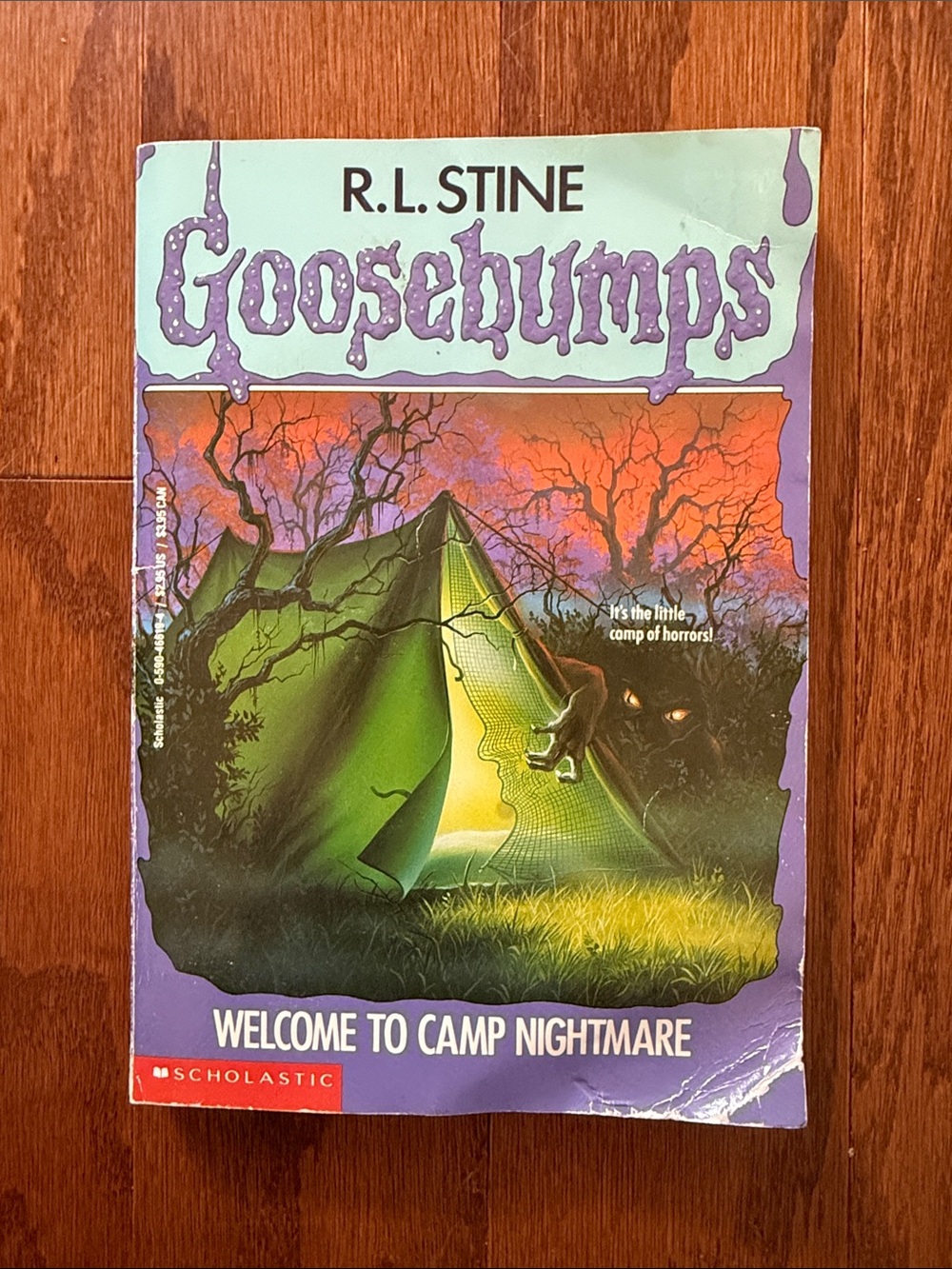 Vintage Goosebumps Welcome to Camp Nightmare R.L. Stine #9 1993 4th Print